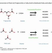 Image result for Biodiesel Esterification