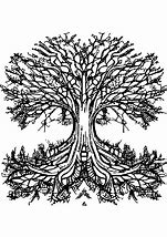 Image result for Intricate Tree Coloring Page