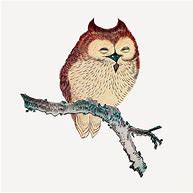 Image result for Owl On a Branch Adobe Stock