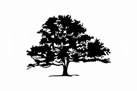 Image result for Oak Tree Header