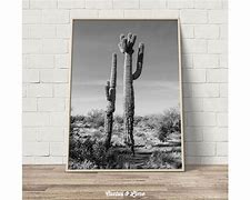 Image result for Black and White Photo Road Cactus