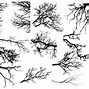 Image result for Tree Branch Vector Art