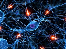 Image result for Red Neuronal Artificial