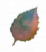 Image result for Birch Leaf Silhouette