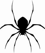 Image result for Cartoon Spider No Background