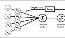 Image result for Perceptron Architecture