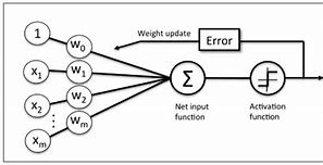 Image result for Perceptron Libro