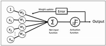 Image result for Perceptron in Elektronic