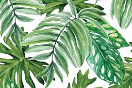 Image result for Desktop Backgrounds Watercolor Leaves