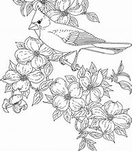 Image result for California State Bird Coloring Page