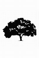 Image result for Elm Tree SVG