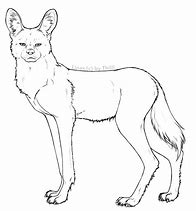 Image result for Wild Dog Coloring Pages