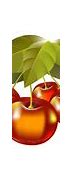 Image result for A Picture of an Apple Tree