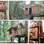 Image result for Tree House Hotel