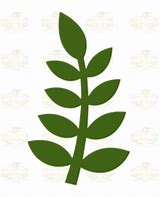 Image result for Leaves SVG Free