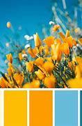 Image result for Eye-Catching Color Combinations