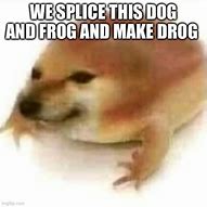 Image result for Drog Dog and Frog