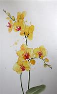 Image result for Yellow Orchid Watercolor