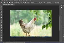 Image result for How to Change Image Background in Photoshop