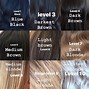 Image result for All Hair Colors Chart