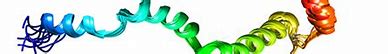 Image result for Protein Biophysics