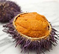 Image result for Sea Urchin Roe