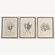 Image result for Botanical Theme Wall