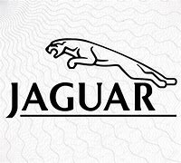 Image result for Jaguar Team SVG