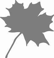 Image result for Clip Art of Leaf