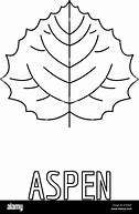 Image result for Aspen Leaf Outline Sticker