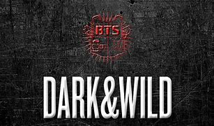 Image result for BTS Dark and Wild Album Cover