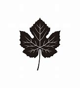 Image result for Maple Leaf Vector Sihloette