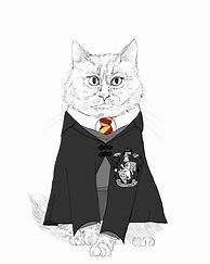 Image result for Hogwarts Cat