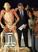 Image result for Real Alive Human Body Skin