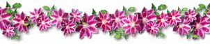 Image result for Flower Border Vector