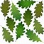 Image result for Lt. Colonel Oak Leaf Silhouette