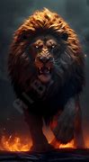 Image result for Lion Fire Brown