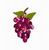 Image result for Happy Grapes Clip Art