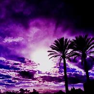 Image result for Palm Tree Silhouette Drawing