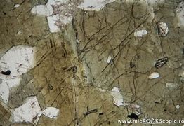 Image result for Tourmaline Thin Section