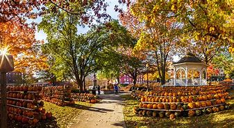 Image result for Fall Foliage Keene NH