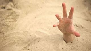 Image result for What Is Quicksand