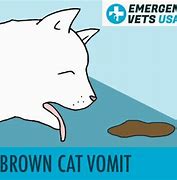 Image result for Cat Vomit Dark Brown Liquid