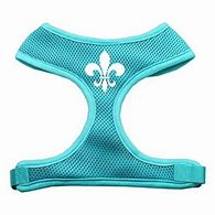 Image result for Temu Fleur De Lis