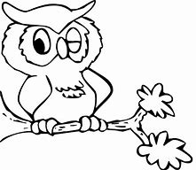 Image result for Animals Drawing for Coloring