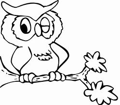 Image result for Jungle Coloring Pages for Preschoolers