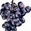 Image result for Grapes Clip Art Free Download