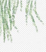 Image result for Willow Branch Leaf Wilson