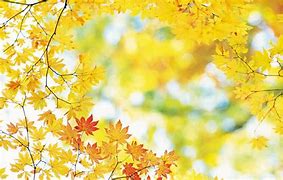 Image result for Nature Background for A4