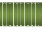 Image result for Football Field Cartoon